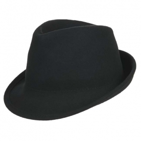 Ultramodern trilby in trendy colours - 