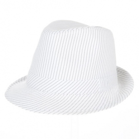 Casual trilby  - 