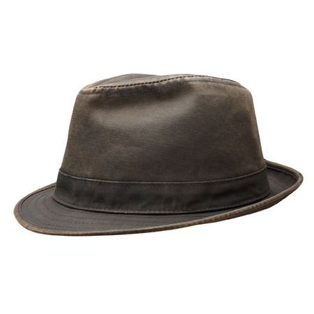 hat by Stetson in leather optics 