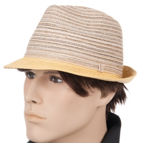 Casual striped Trilby - 