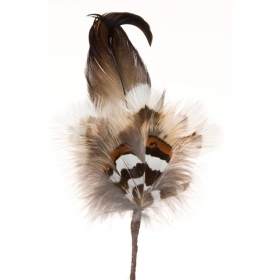 Feather arrangement out of pheasant and drake feathers without case - 