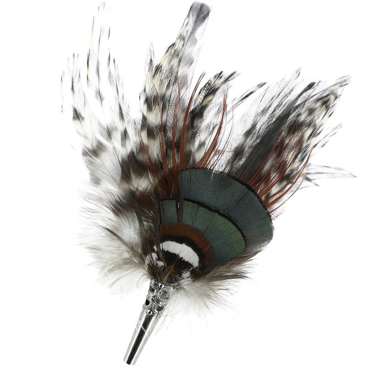 Multicoloured chicken- and pheasant feathers