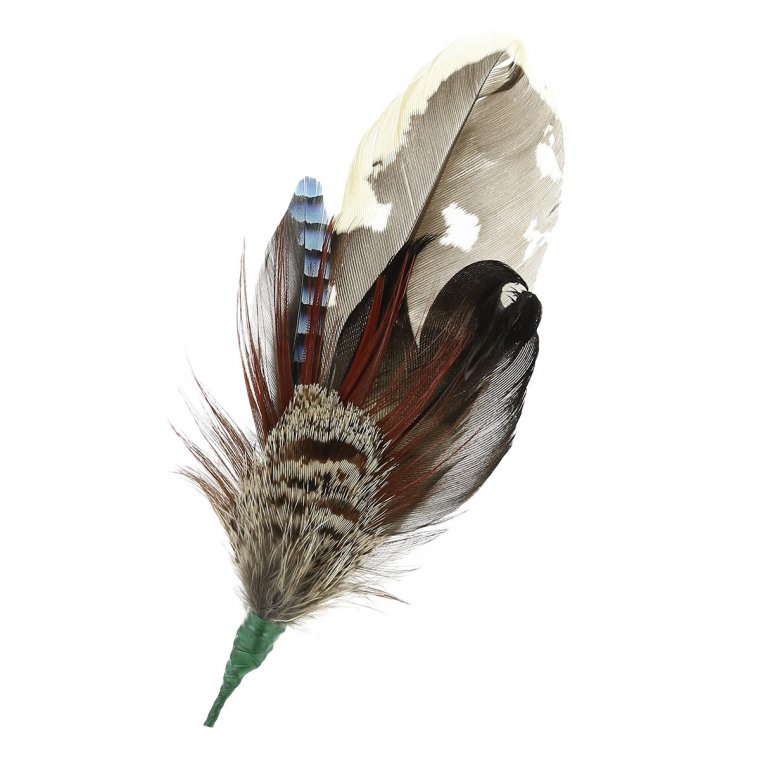 Feather from pheasant, partridge, drake, jay