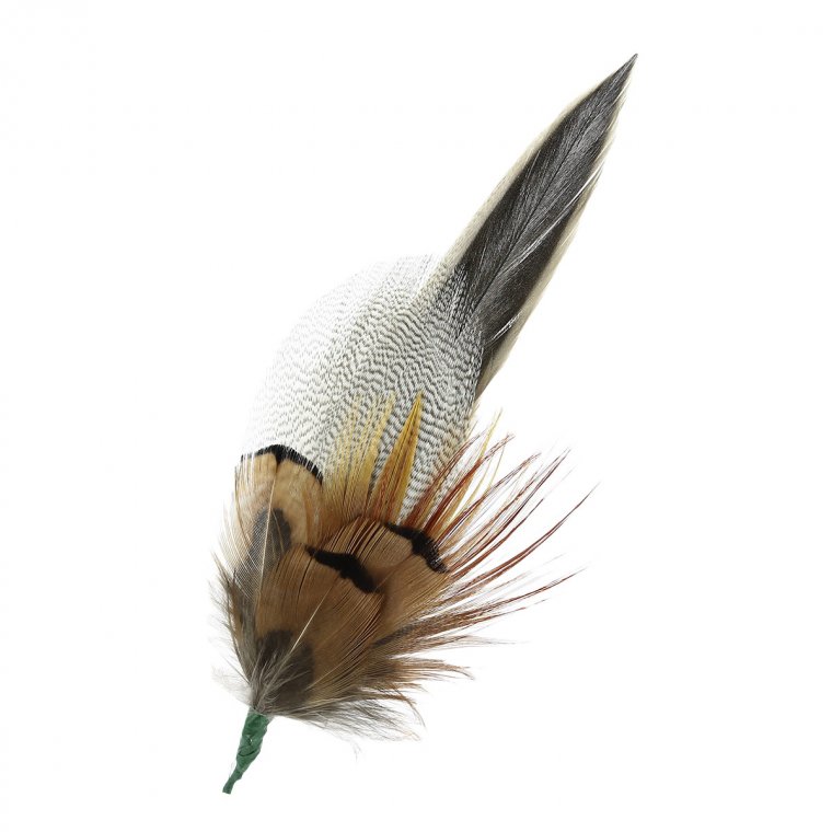Feather arrangement out of duck ans pheasant feathers