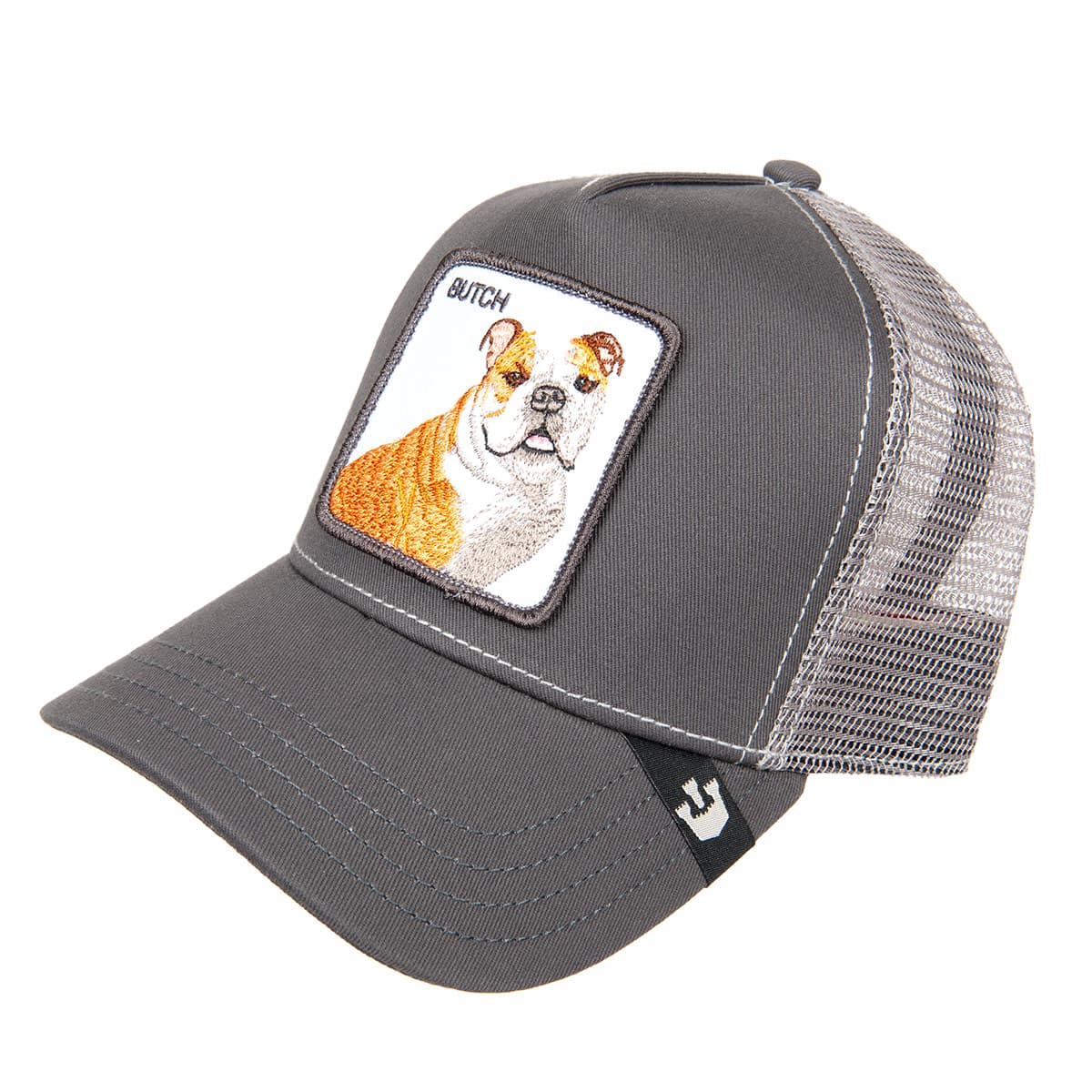 dog with baseball hat