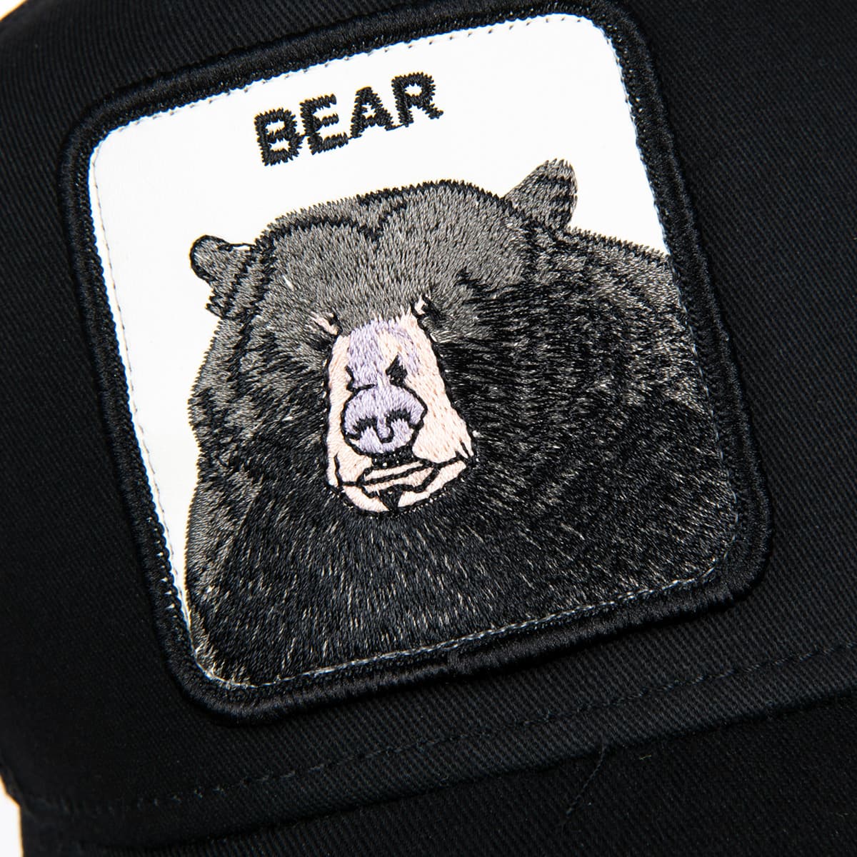 cappelli bear