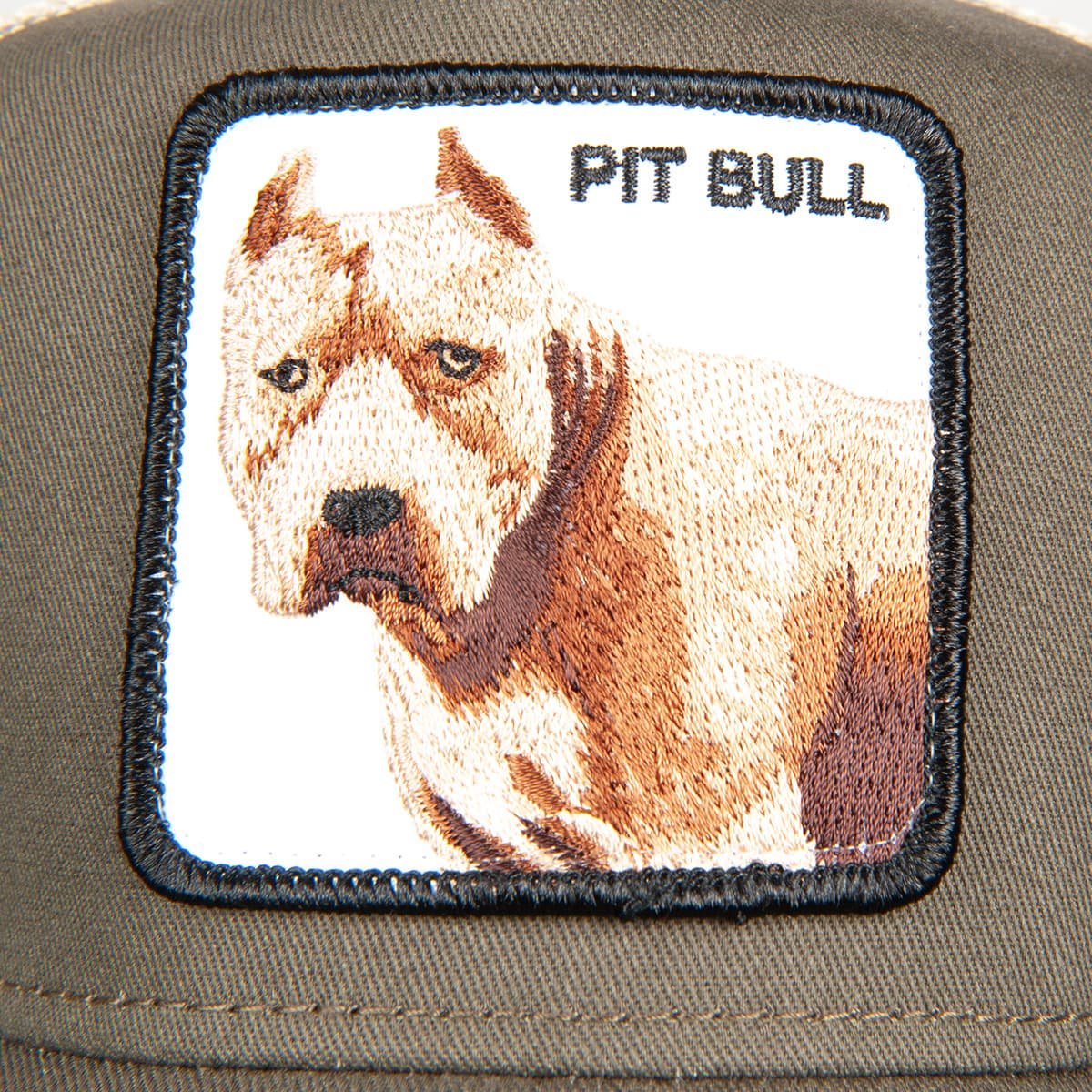 Pitbull caps cheap