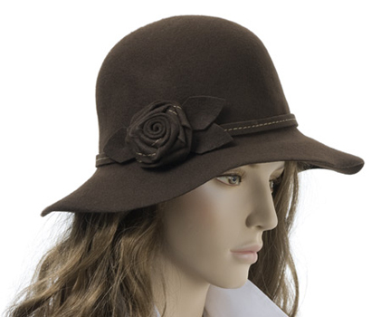 broad brimmed felt hat