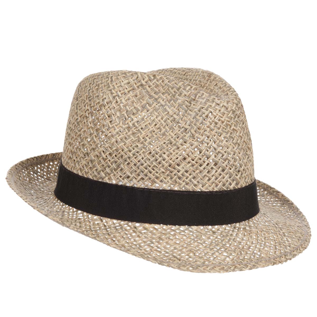 small trilby hat
