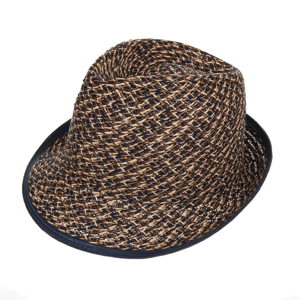 small trilby hat
